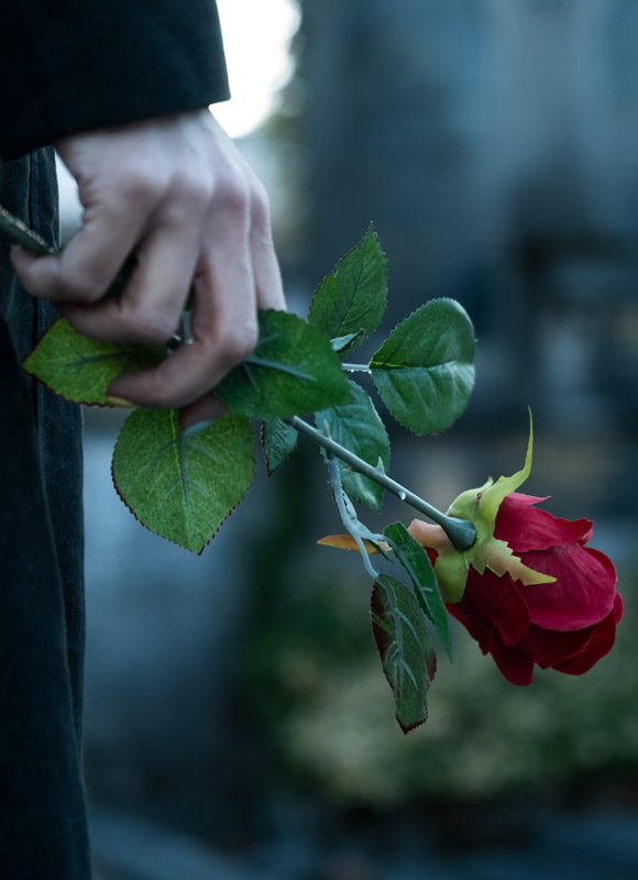 hand holding red rose